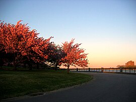 Baltimore Spring.jpg