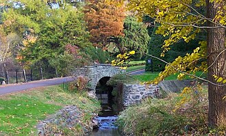 Morris Arboretum.jpg