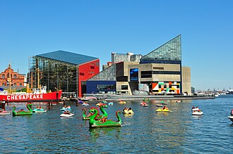 BaltimoreNationalAquarium.JPG