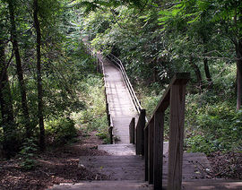 Allaire State Park-2755.jpg