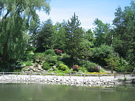 Edwards Gardens.JPG