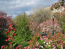 Riverside Park 02.jpg